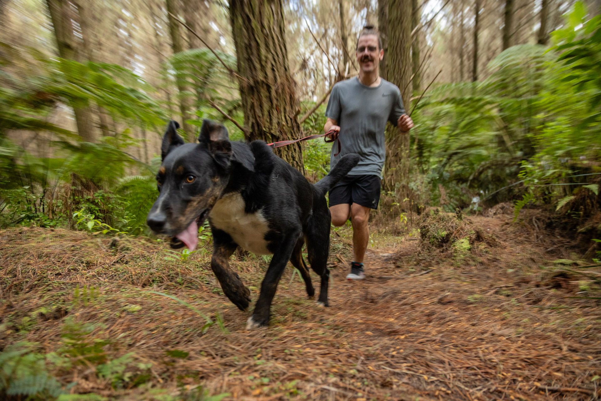 Aramex Kiwi Walk Run promotional imagery